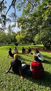 Run to Devcon participants sitting in a community circle on the grass at Cubbon Park