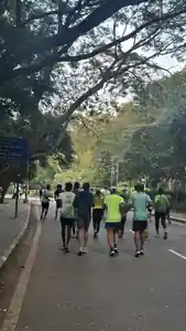 Runners moving along a tree-lined road inside Cubbon Park